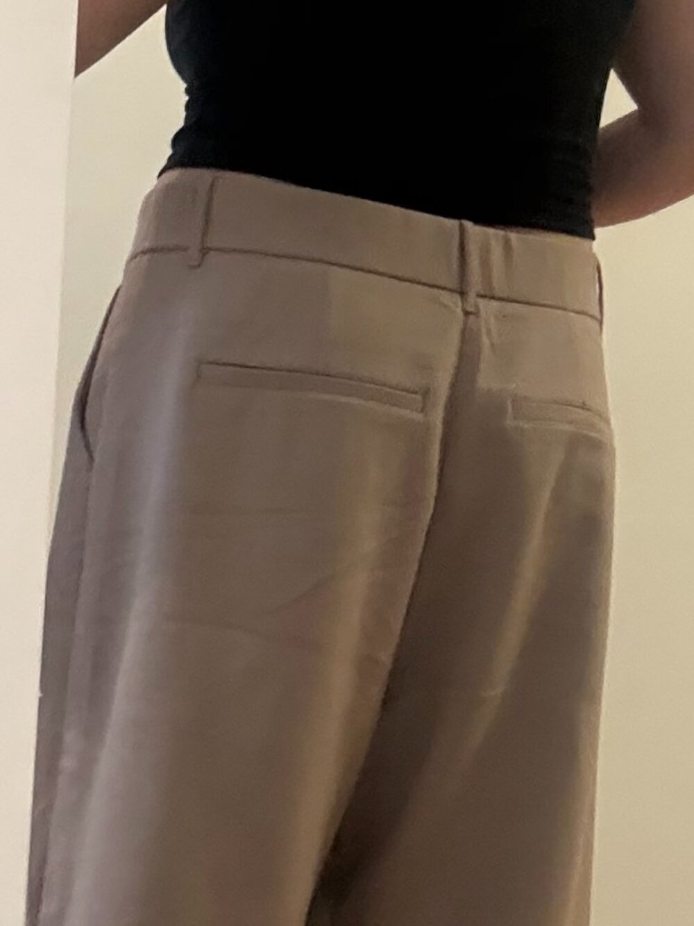 Abercrombie & Fitch Dress Pants Wide-Leg Pleated - NWT XL - Picture 12 of 13